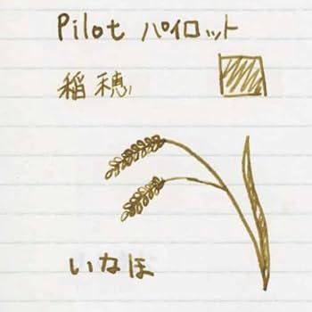 Amazon | パイロット 万年筆インキ iroshizuku INK-50-IH イナホ